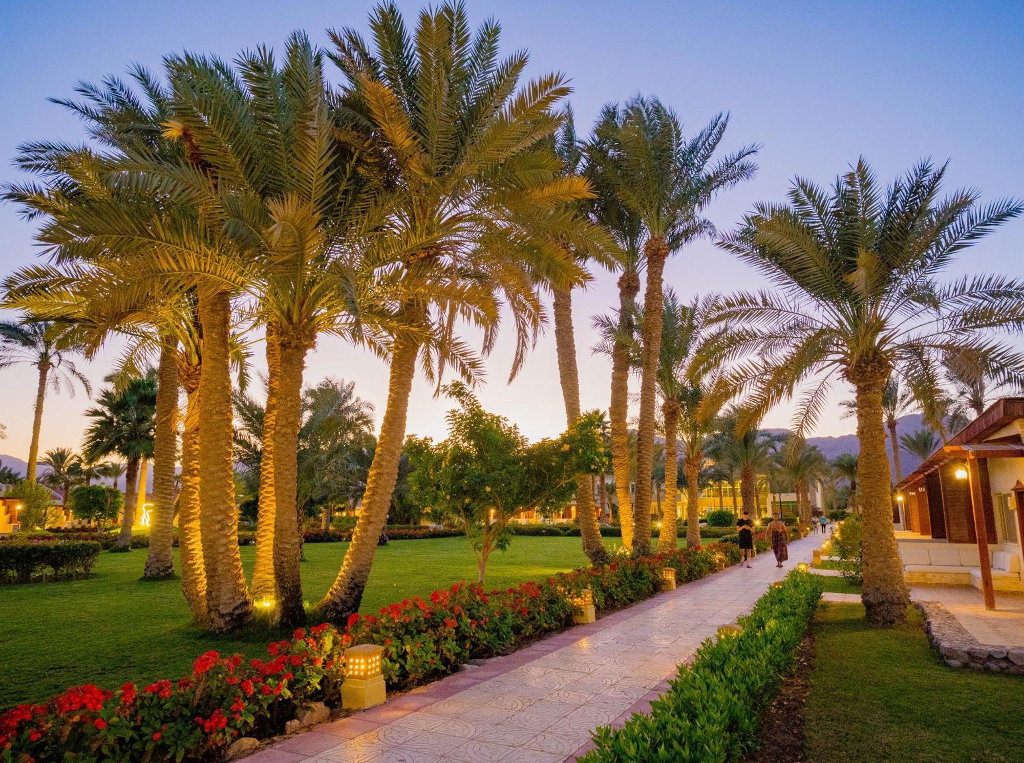 Nuweiba Club Resort Exterior photo